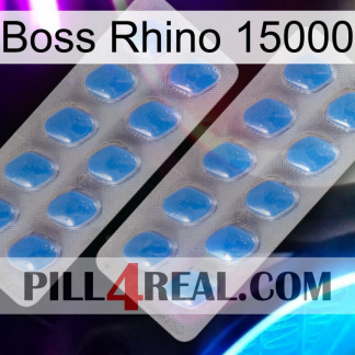Boss Rhino 15000 23